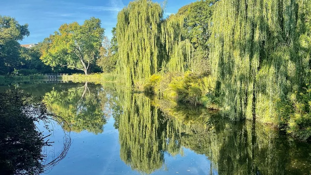 Park i Łódź