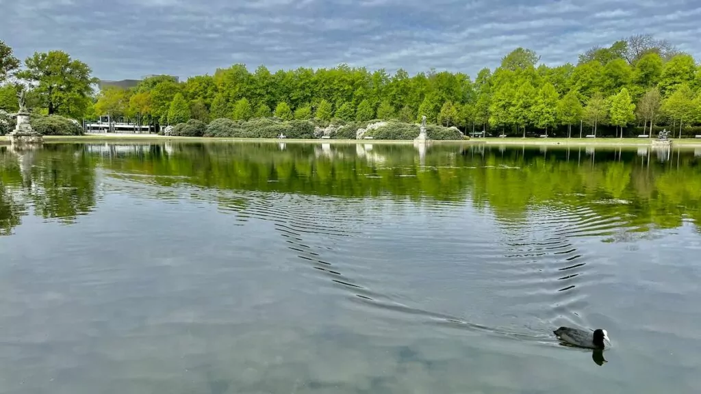 Göra i Bremen - Bürgerpark