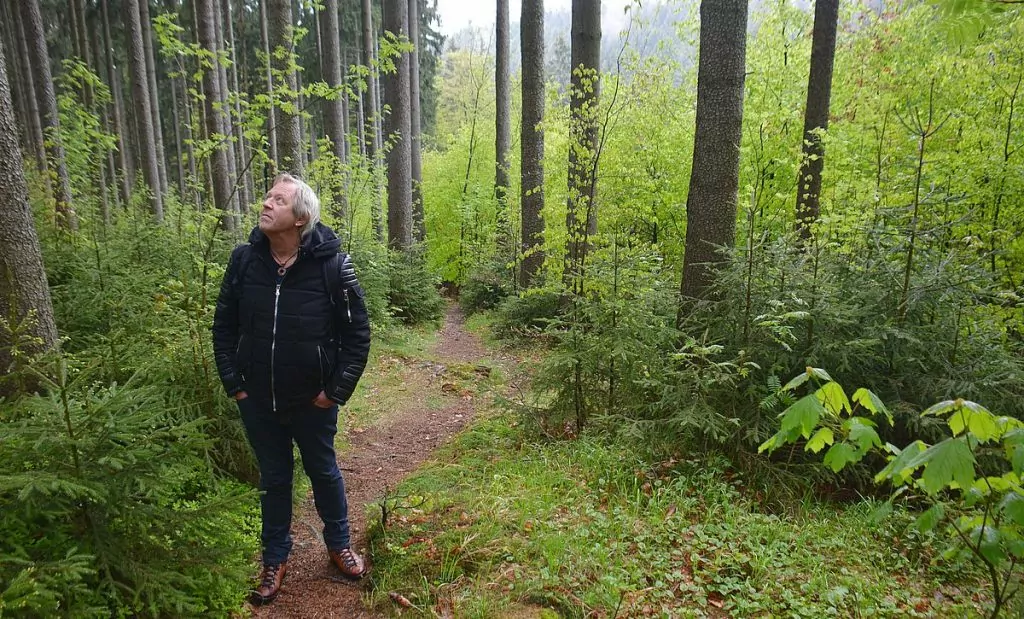 promenad från Park Boheminium i Marianske Lazne