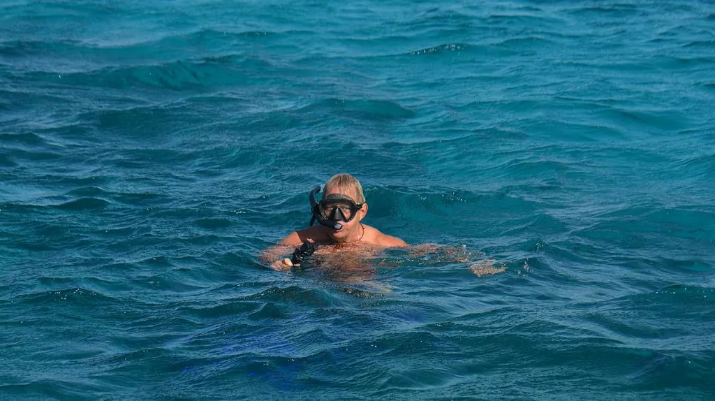 Snorkla i Röda havet