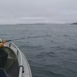 Fiske i Nordnorge – på fisketur från Arnoy Brygge