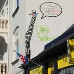 14 saker att se och göra i Reykjavik