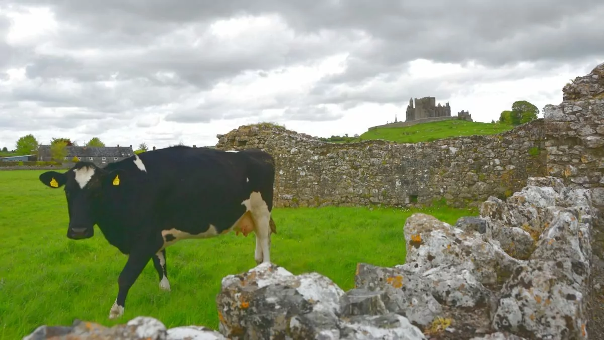 Rock of Cashel Irland