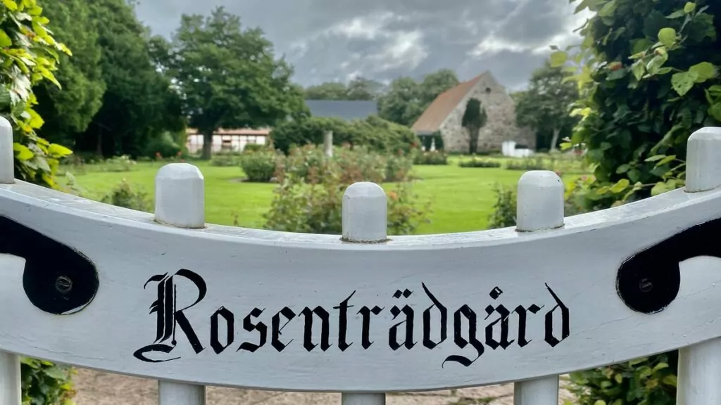 Rosenträdgård