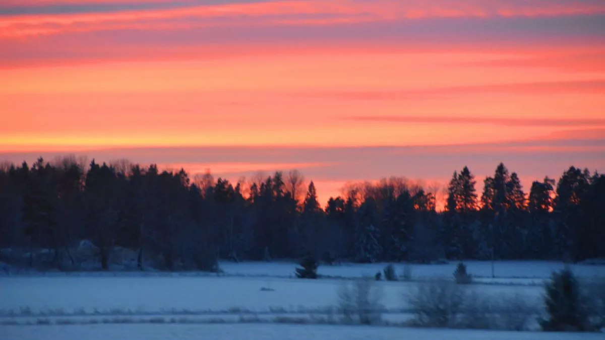 Röd himmel