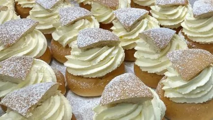 Fakta om semlor