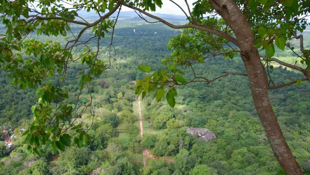 Utsikt från Sigiriya