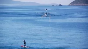 Sjöflyg