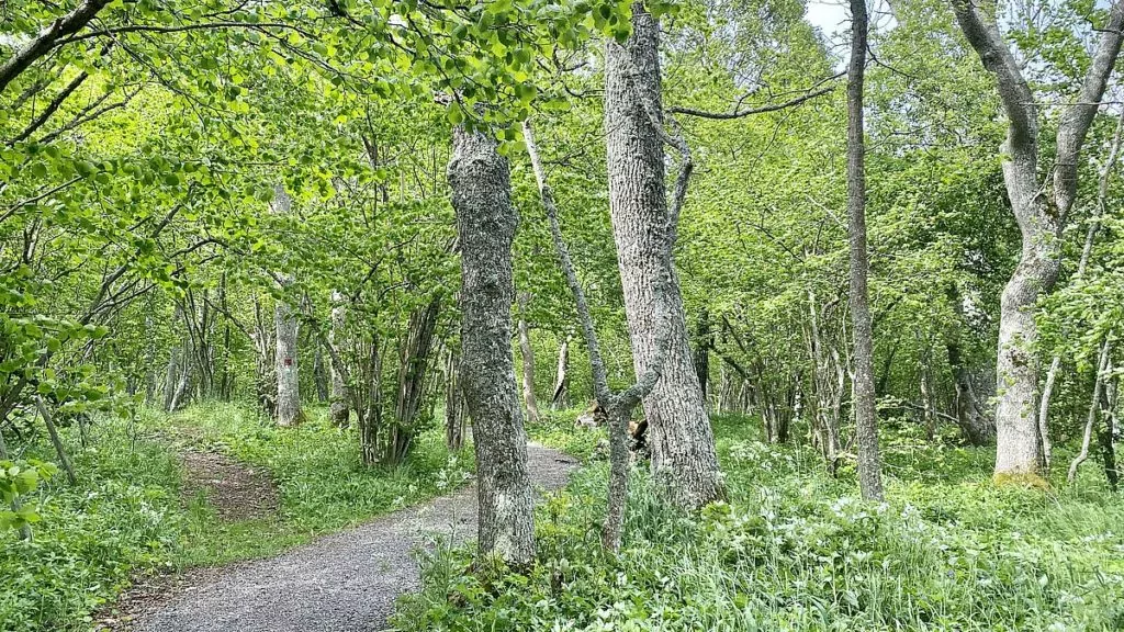 Riddersholms naturreservat