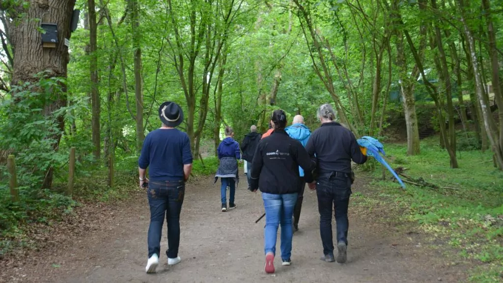 Vandring i skogen i Schleswig-Holstein