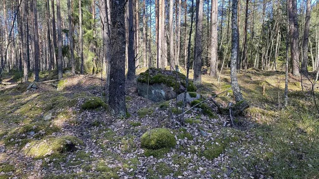 Norra Järvafältet