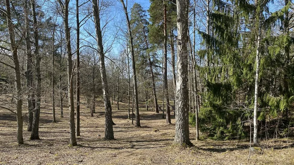 Natur