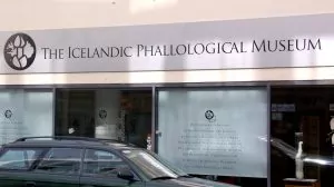 The Icelandic Phallological museum