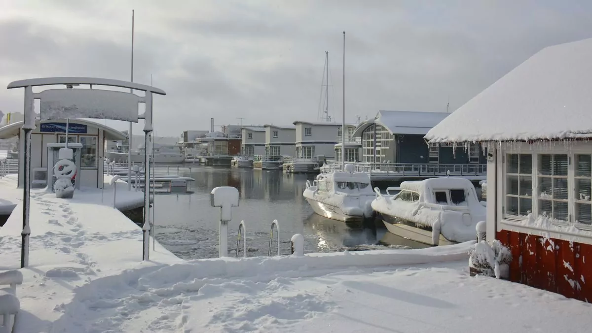 Snö Pampas marina