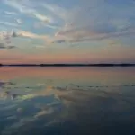 Svensk natur (och djur) på en ö i Mälaren