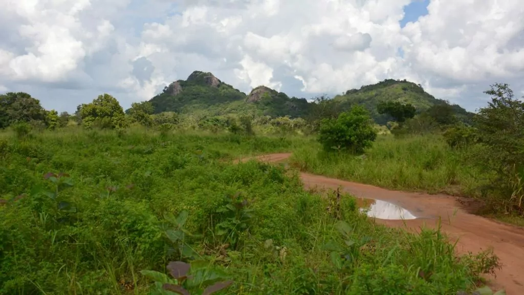 Safari i Sri Lanka