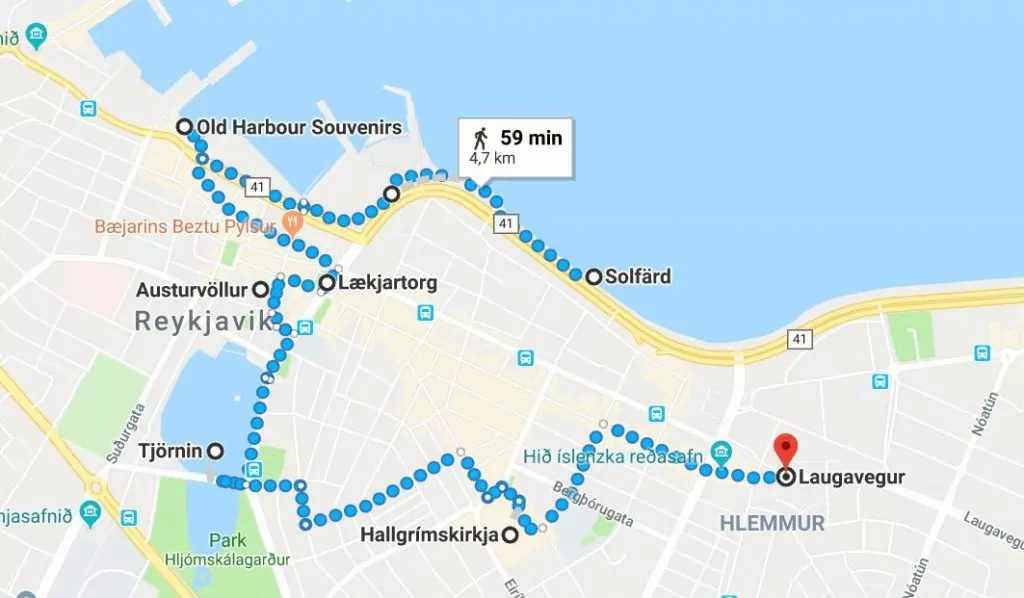 Stadsvandring på egen hand i Reykjavik