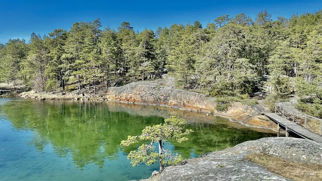 Stendörrens naturreservat