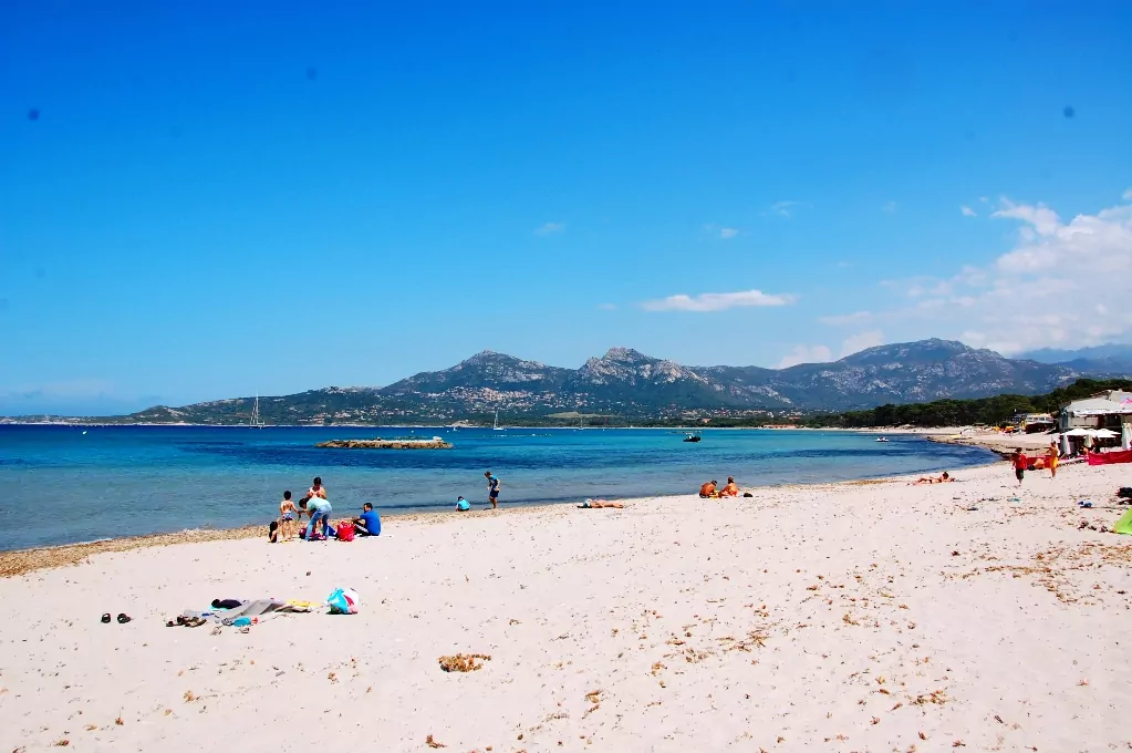 Stränder Calvi! Att göra på Calvi på semestern.