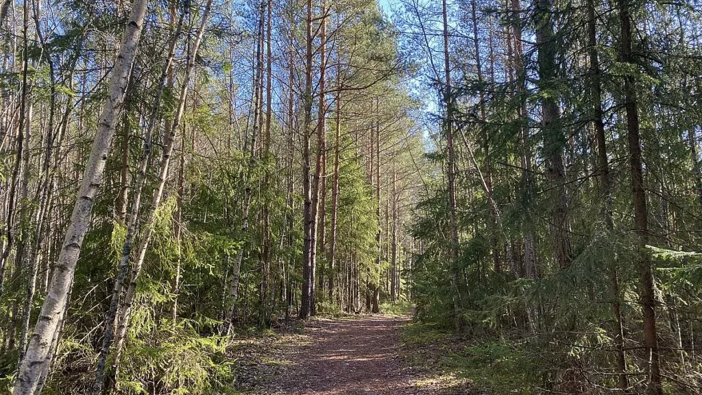 Natur på Norra Järvafältet