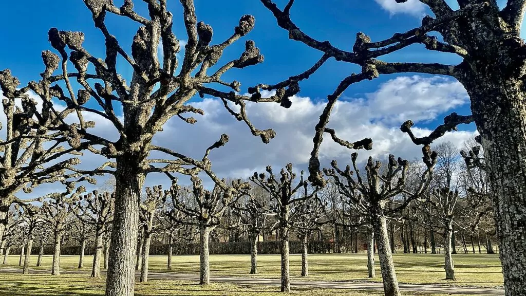 Ulriksdals slottspark