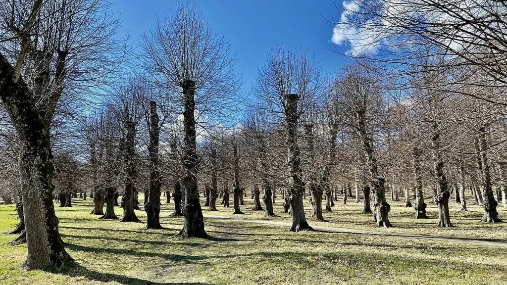 Slottsparke vid Rosersbergs slott