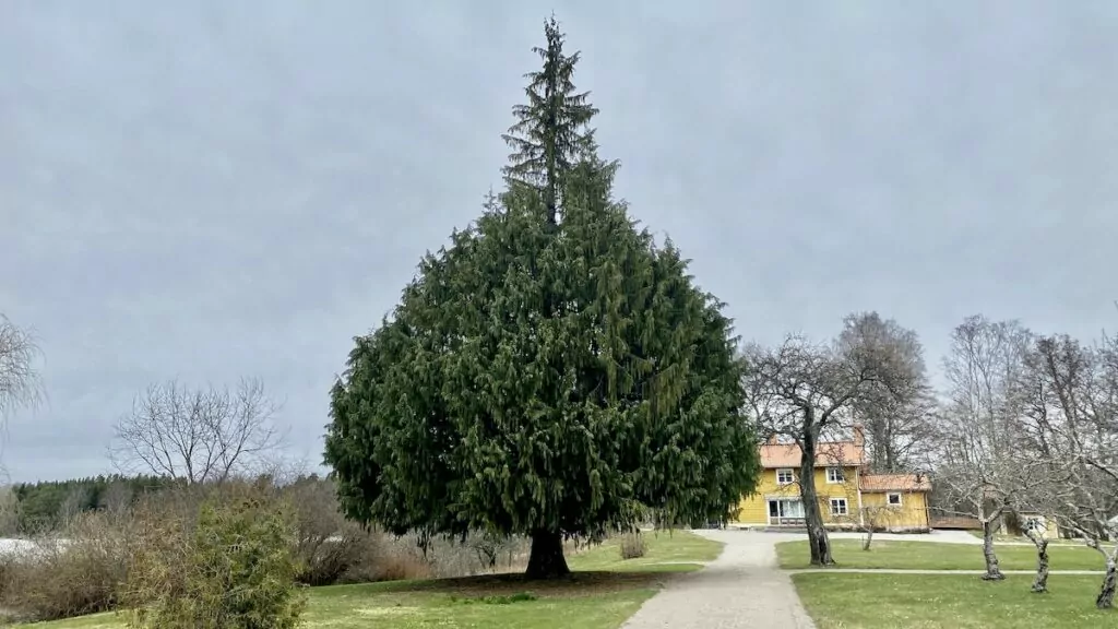 Grönsöö slott och slottspark