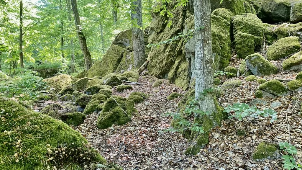 Trollskog i Ronneby brunnspark