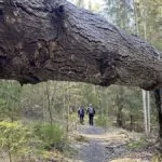Lida Friluftsgård och Äventyrsstigen runt sjön Getaren