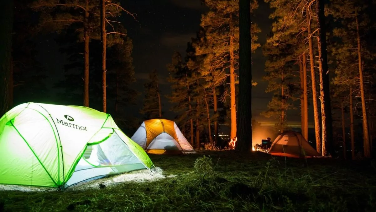 Tält i skogen