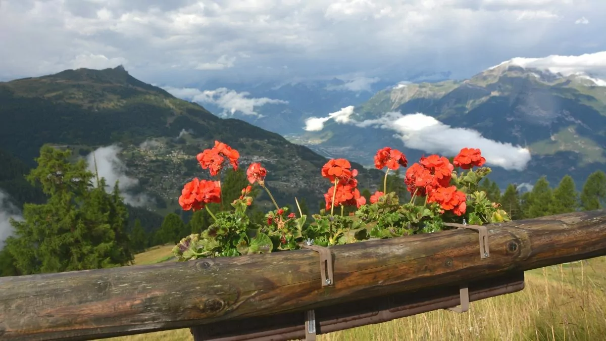 Utsikt Schweiz