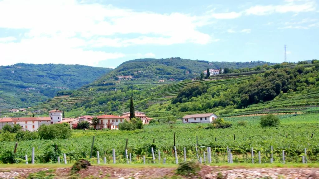 Valpolicella