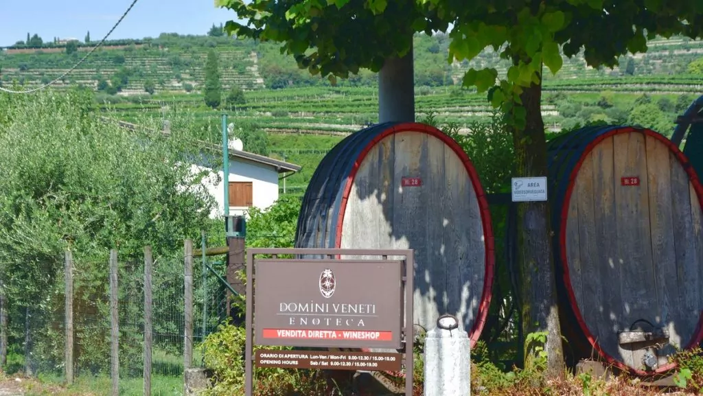 Valpolicella Negrar cantina