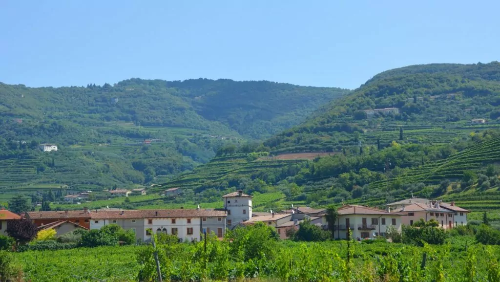 Valpolicella vindalar