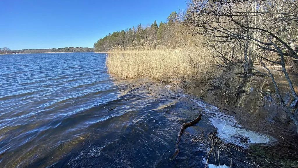 Norra Järvafältet