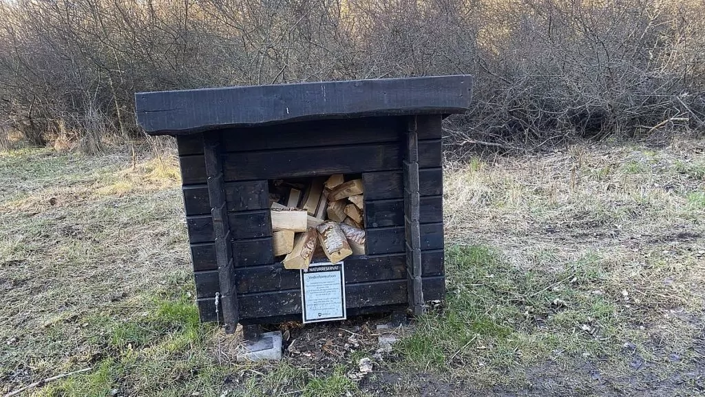 Ved i Järvafältets naturreservat