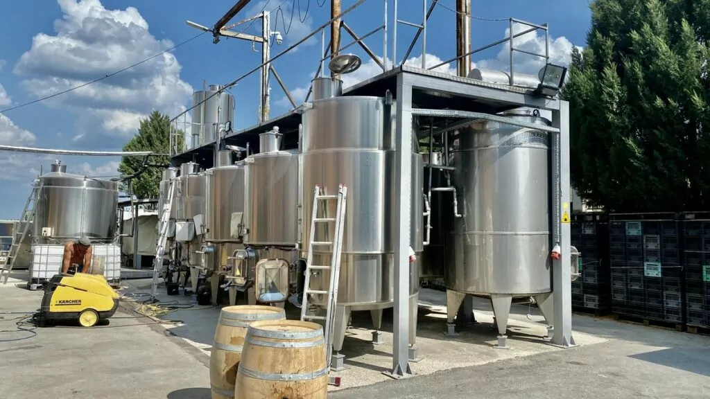 Göra i Varna i Bulgarien - vingård