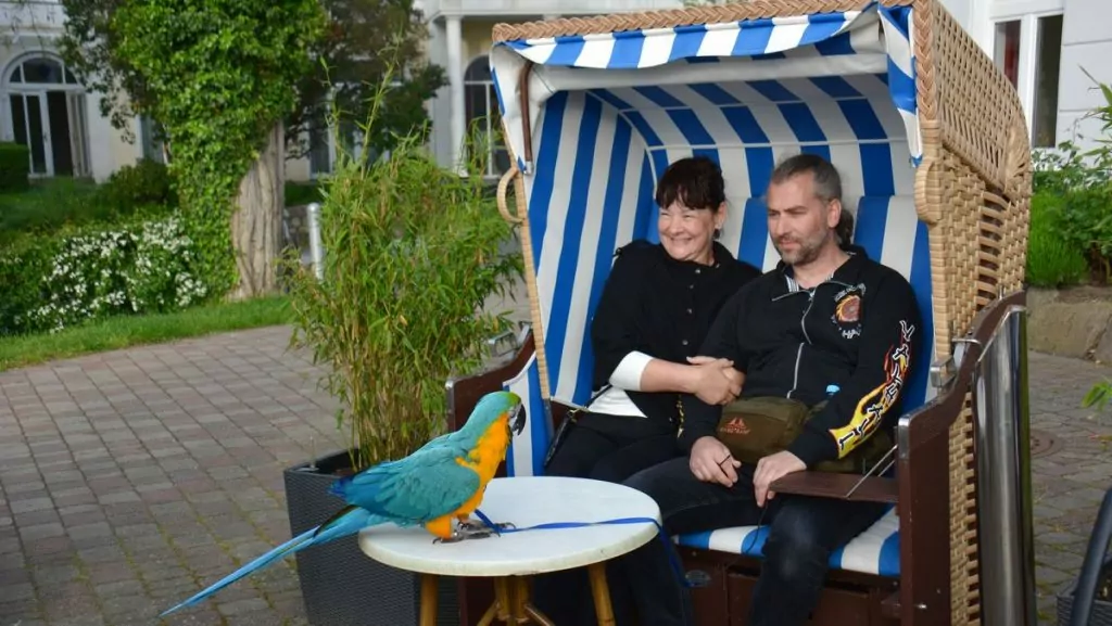 Maria, Lars och Curre i Team Parrot på ön Rügen