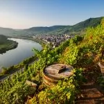 Vinfester i Tyskland – upplev höstens vinfestivaler