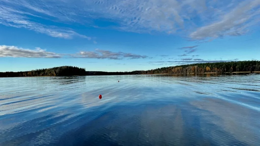 Fiske i Mälaren