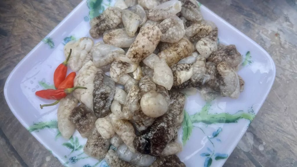 Vad äter man i Filippinerna? - filippinsk mat - sjögurka