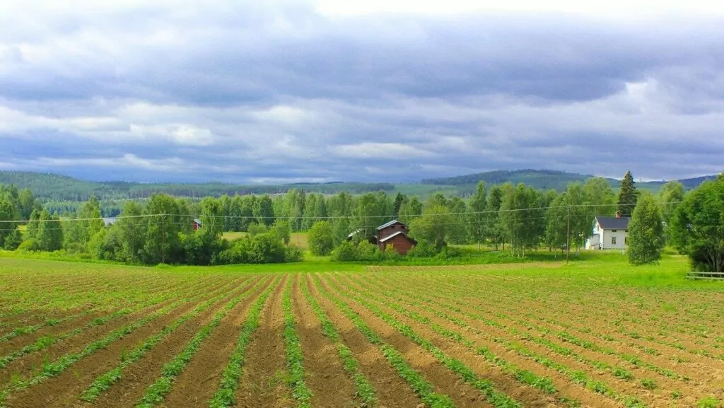 Göra i Hälsingland