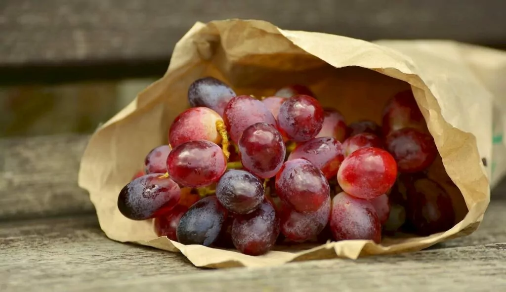 Tips för en bekväm flygresa - ta med snacks!