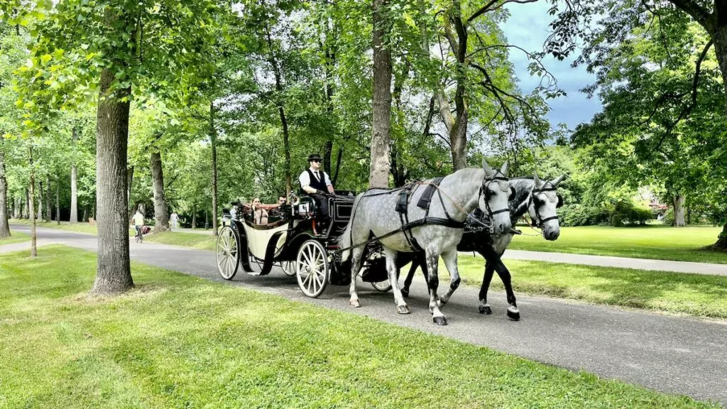 Göra i Baden-Baden - häst och vagn