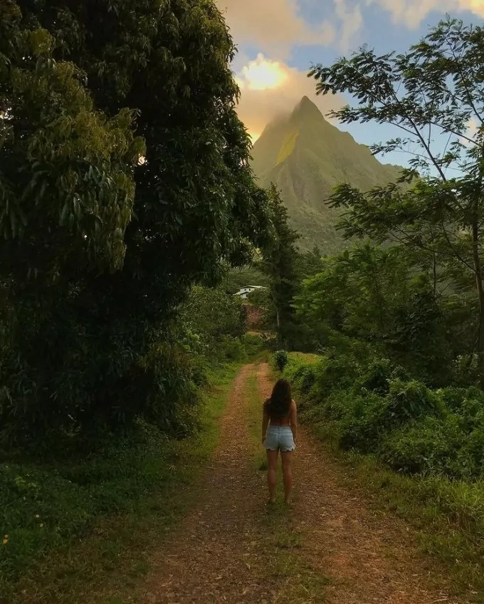 Bergslandskap på Moorea