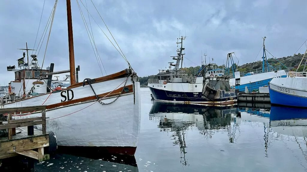 Båttur med M/S Donalda