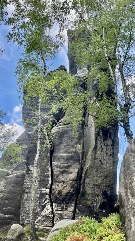 Saxiska Schweiz i Tyskland