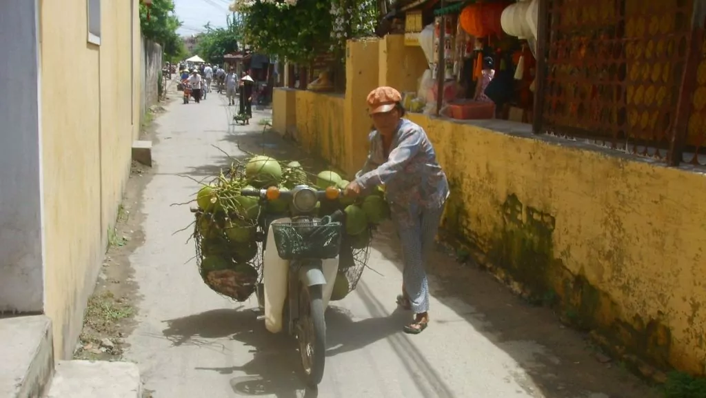 moppe Hoi An