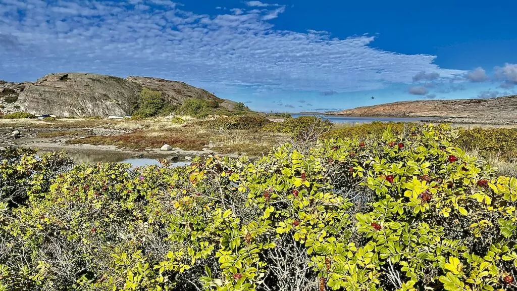 Natur i Bohuslän