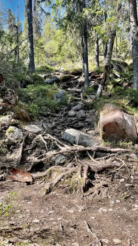 Att besöka Skuleberget i Höga kusten - vandring neråt